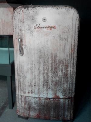 Nicht mehr ganz frisch: Alte Kühlschränke sollte man ausmustern