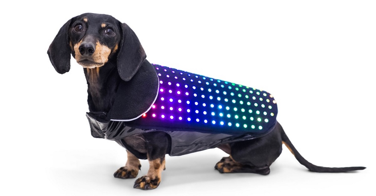 Disco Dog: Fernsteuerbare LED-Hundeweste lässt Vierbeiner leuchten - notebooksbilliger.de Blog