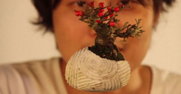air_bonsai